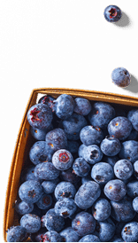 berries